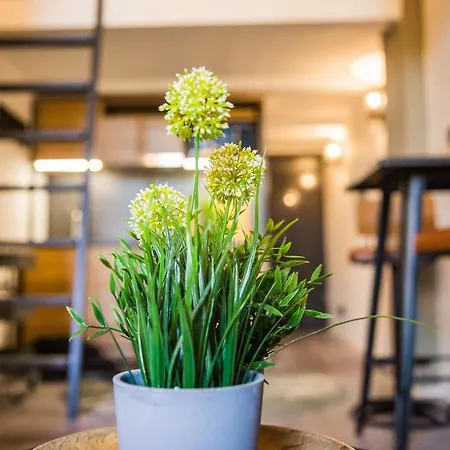 Urbanjungle - Your Trendy Loft In Apartamento Budapest